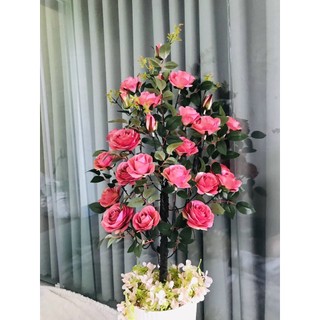 CÂY HỒNG PHÁP ( CÓ SỈ ) HOA GIẢ , HOA LỤA