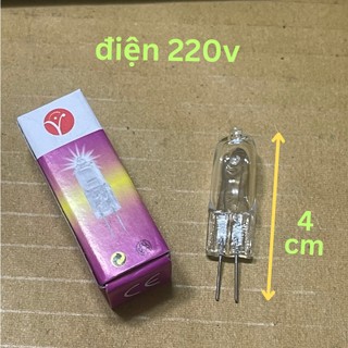 Bóng đèn xông tinh dầu, bóng đèn halogen Loại tốt 220v