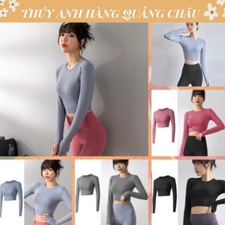 [XẢ KHO] Áo tập Gym - Yoga nữ dài tay cực kì tôn dáng co dãn 4 chiều thấm hút mồ hôi - Hàng Quảng Châu(AA2)