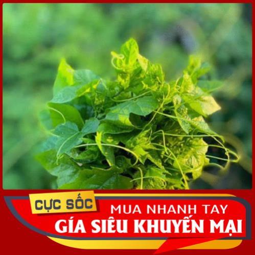1kg Đọt Chùm Bao tươi  - Thảo Dược Ngọc Ánh