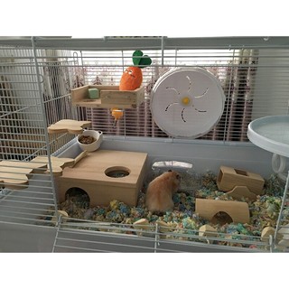 Bậc thang gỗ gắn lồng cho Hamster , Sóc , Chim
