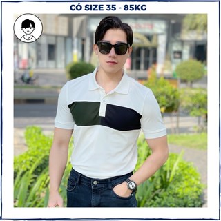 Áo polo nam cao cấp bigsize 85kg áo thun nam cổ trụ vải cá sấu thoáng mát