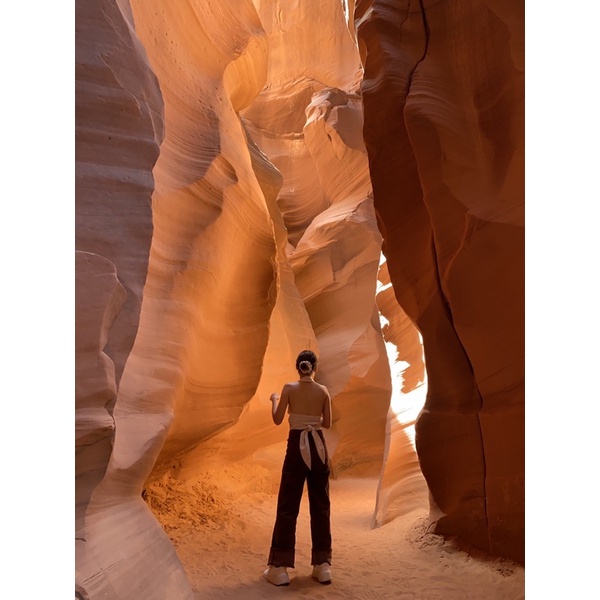 Quần nâu ống đứng H&M eo 58-62