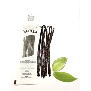 Quả Vanilla Madagascar Bourbon Thượng Hạng (SET 25 GRAMS)