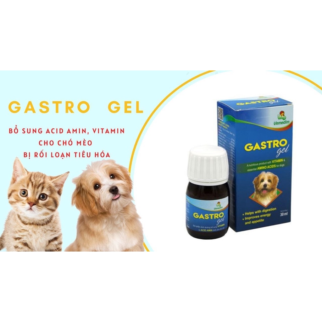 Gel Gastro hỗ trợ tiêu hóa