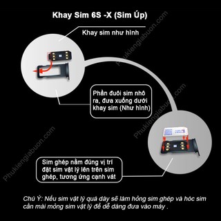 Sim ghép thần thánh Heicard