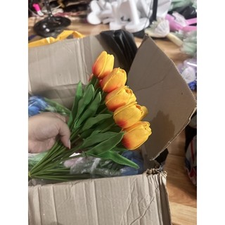 Hoa tulip cao su non ( đầu hoa nhỏ)