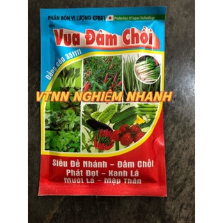 Vua đâm chồi
