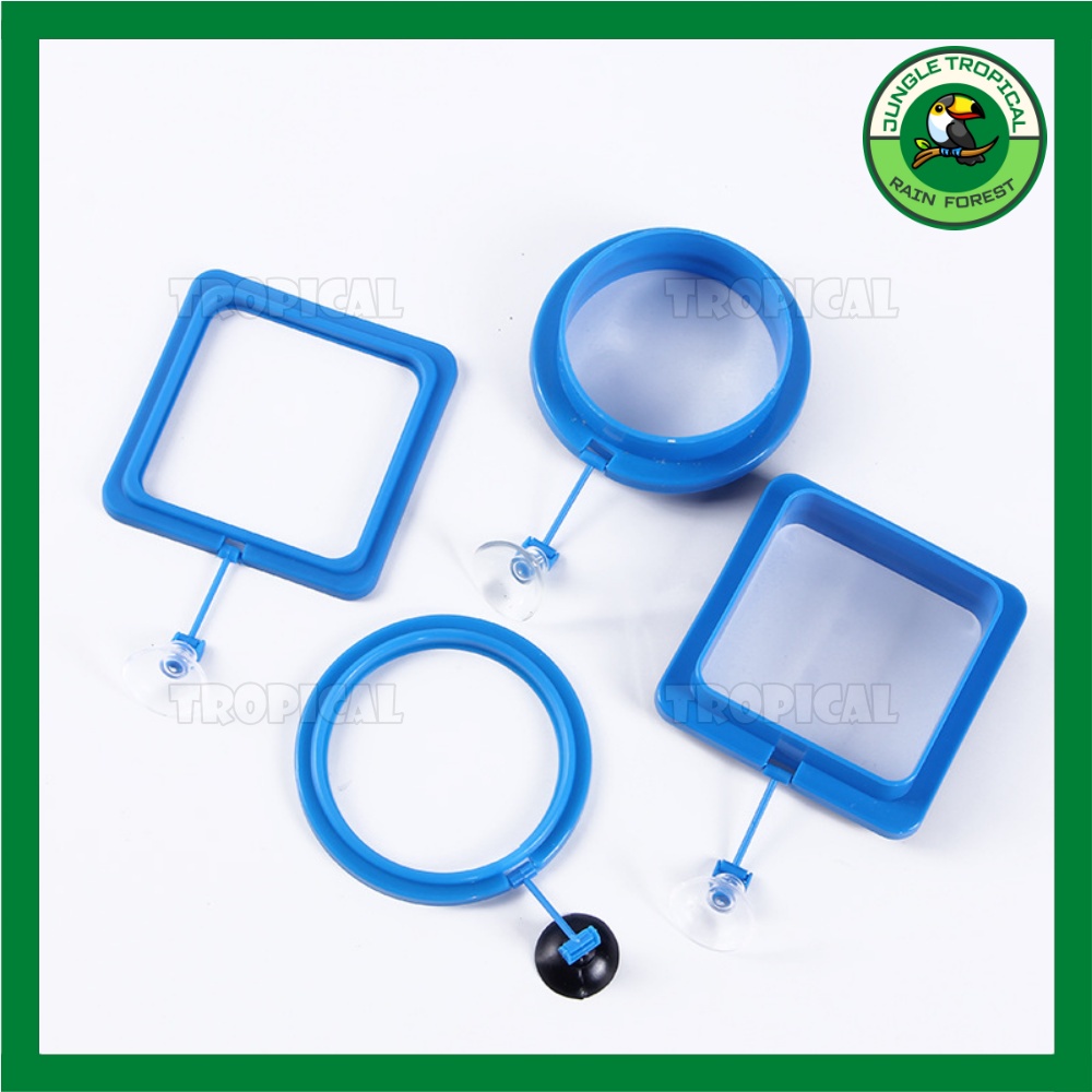 Vòng cho cá ăn - giữ thức ăn không bị phân tán - Loại mỏng/dày - hình tròn/vuông