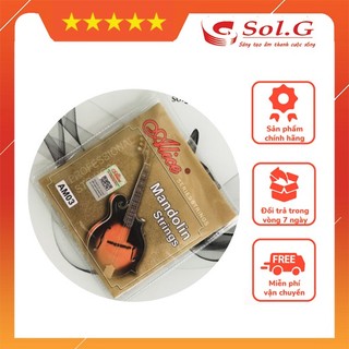 Dây đàn Mandolin âm thanh hay Phân Phối Nhạc Cụ Phụ Kiện Chính Hãng SolG
