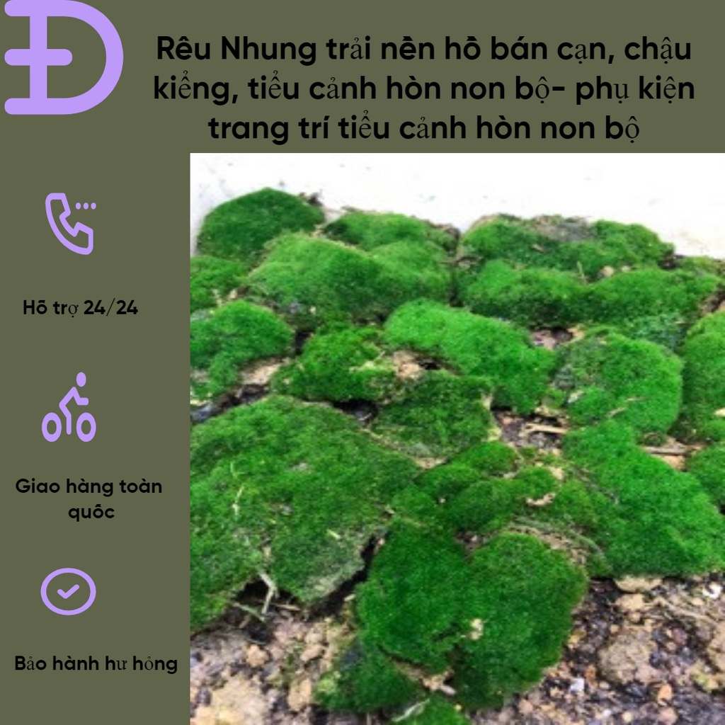 Rêu Nhung trải nền hồ bán cạn, chậu kiểng, tiểu cảnh hòn non bộ- phụ kiện trang trí tiểu cảnh hòn non bộ