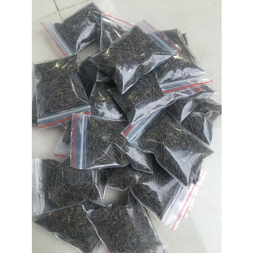 HẠT GIỐNG HOA SAO NHÁI, HOA THỌ TÂY MIX MÀU # HẠT GIỐNG NHANH NẢY MẦM_HOA ĐẸP, LÂU TÀN