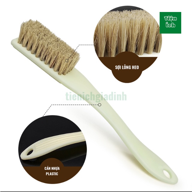 Bàn Chải Đánh Giày Lông Heo Cán Nhựa Dễ  Dàng Sử Dụng Vệ Sinh Giày Dép Ví Da