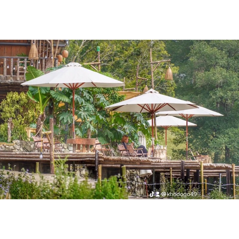 Dù gỗ sân vườn xuất Âu, ô che nắng mưa tán dù 250-350cm nhiều màu.