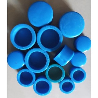 Đầu bịt ống chịu nhiệt ppr phi 25