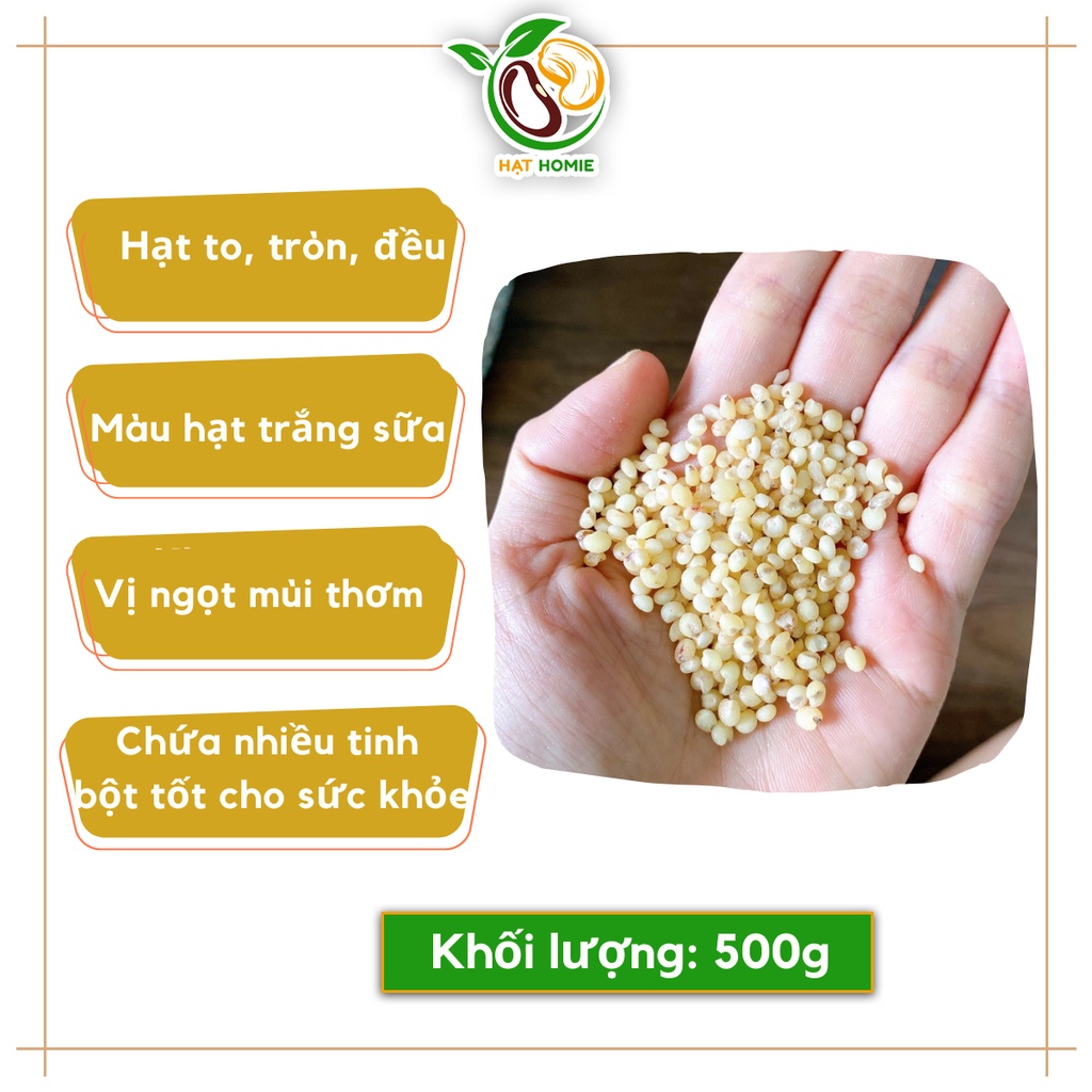 Hạt Ý Dĩ, Hạt Bo Bo Đã Tách Vỏ Dùng Nấu Chè, Nấu Cháo Ăn Dặm 500g