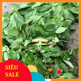 Lá Khế tươi.là khế chua tắm ghe ngua