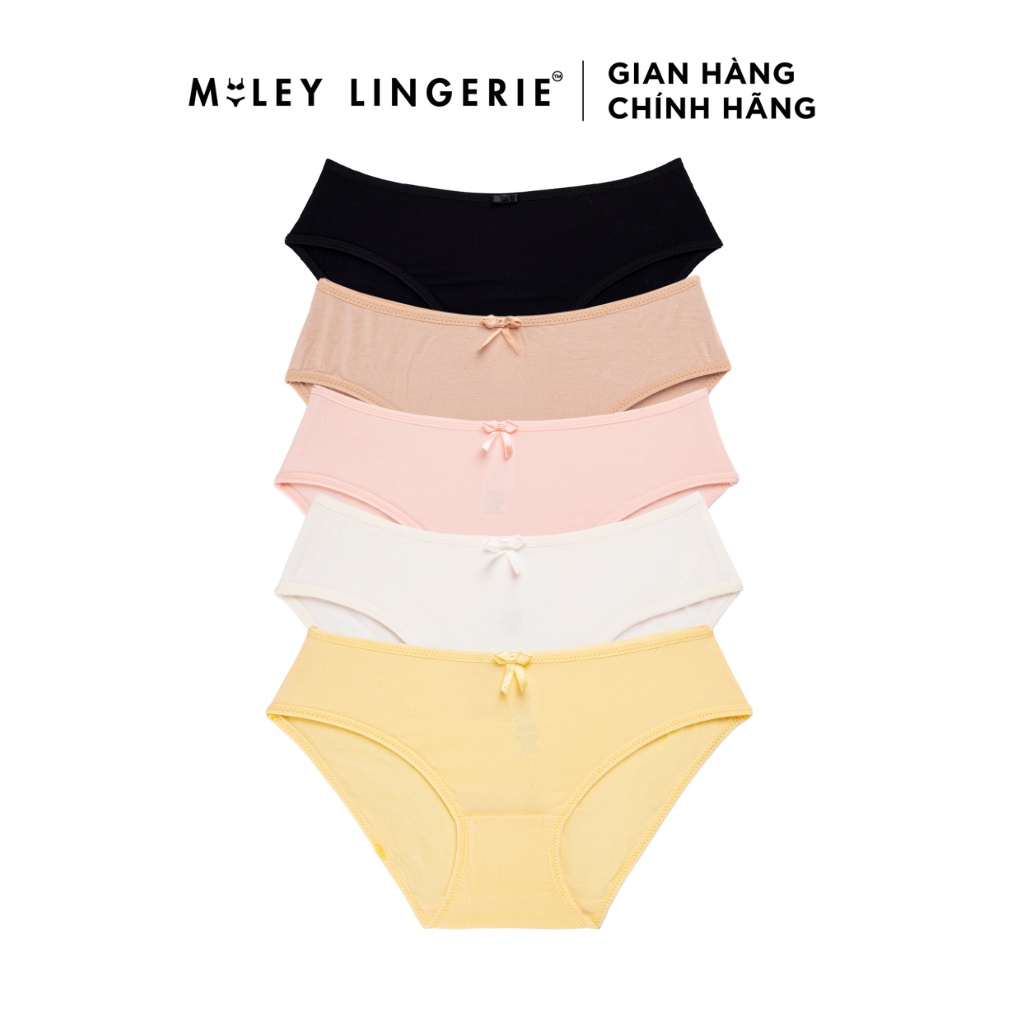 Combo 5 Quần Lót Nữ Modal Tự Nhiên Co Giãn Big Size (XL-5XL) Miley Lingerie