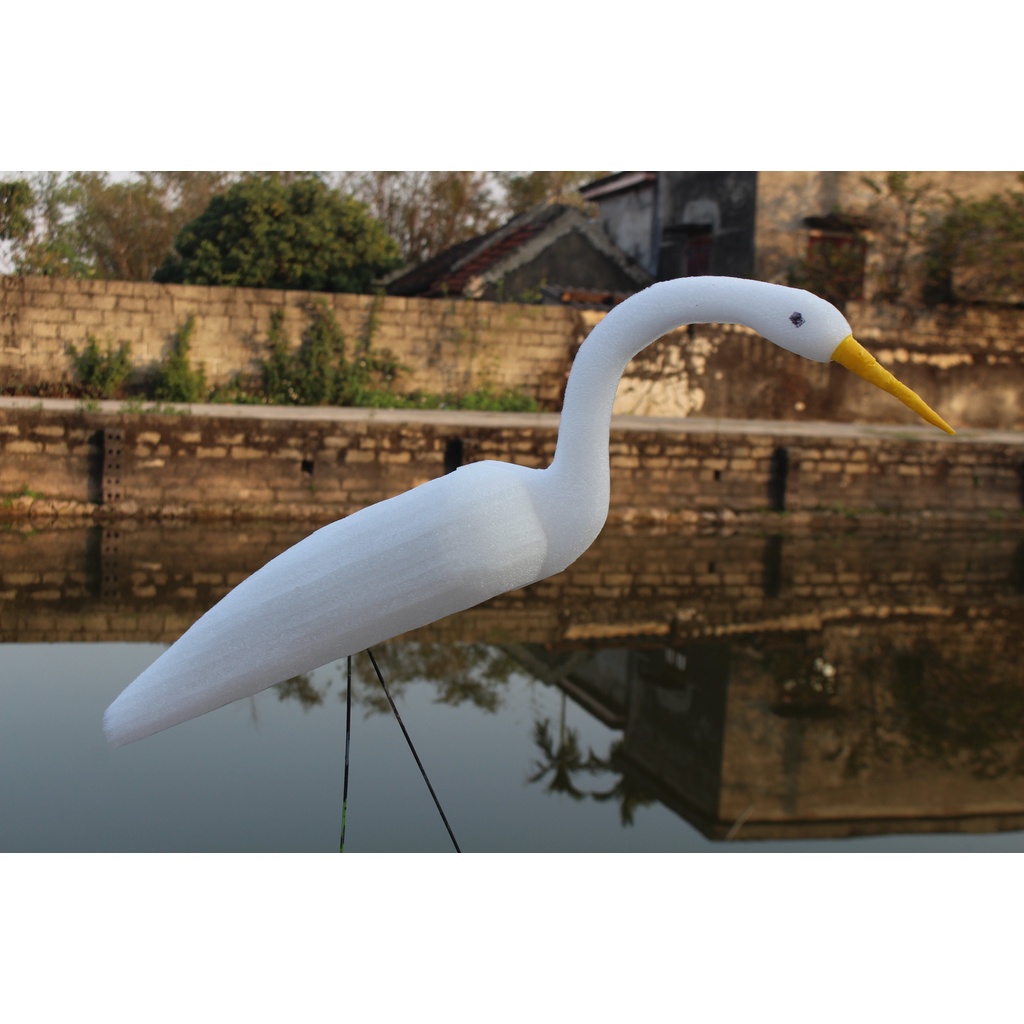 Cò Ngàn To, Cò Trắng Xốp Dẻo Bẻ Không Gãy Giá Rẻ Tháng Ba Tháng Tám