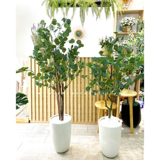 Cây giả - Cây kim tiền lá tròn, cây bạch đàn, cây lá bạc trang trí LanDecor (thân gỗ) 90-150cm