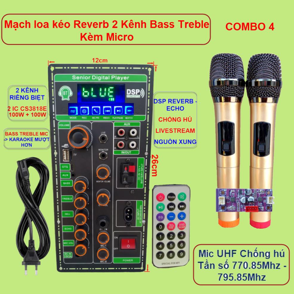 Mạch loa kéo 2 kênh OTG Livestream Chống hú DSP Reverb – Echo 2 IC CS3818E 100W + 100W – Loa kéo 3 tấc đôi Kèm Micro