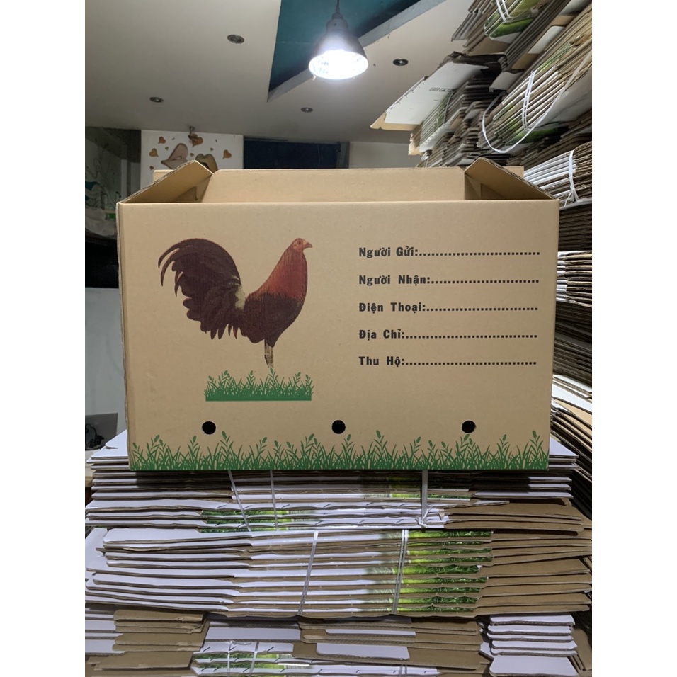 Thùng đựng gà nòi chiến kê (combo 5 cái)