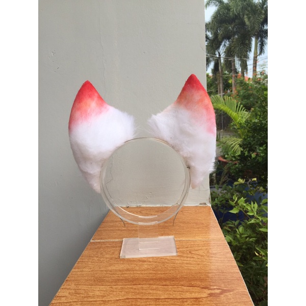 Tai cáo chóp ombre