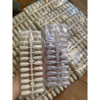 Túi móng học tập vẽ 10 vỉ 240 móng