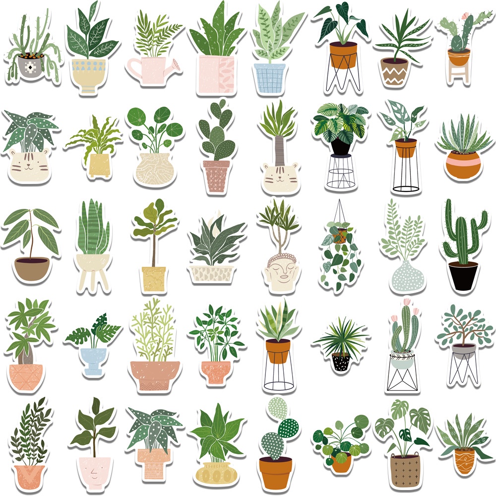 Sticker dán hình kiểng lá không thấm nước, sticker dán điện thoại hình kiểng lá monstera, philodendron, anthurium
