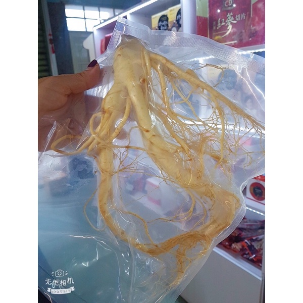 Nhân sâm Hàn Quốc