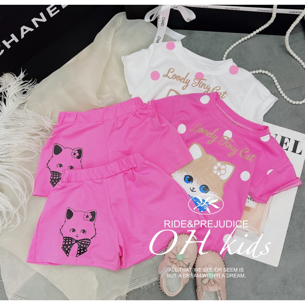 Đồ bộ bé gái , sét bộ quần áo chất cotton họa tiết mèo chấm bi tay rơi siêu xinh cho bé gái.