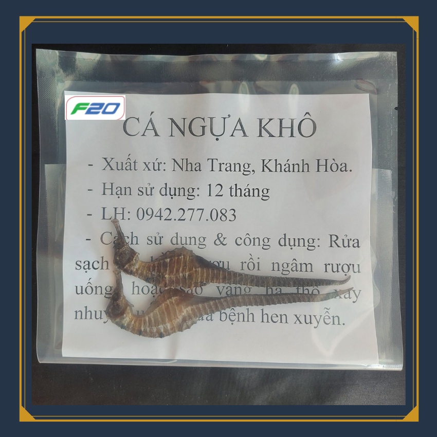1 con cá ngựa size lớn 11-12cm