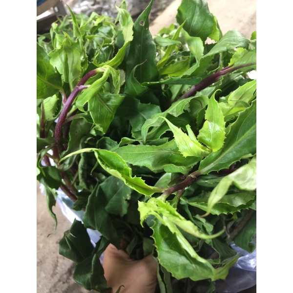 COMBO 3 KG RAU LỦI  - ĐẶC SẢN TÂY NGUYÊN