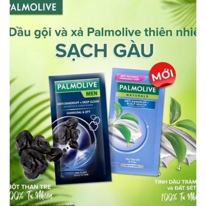 Mẫu mới -  Dầu gội Palmolive Men than tre sạch gàu & sạch sâu 6g