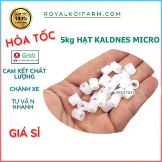 5kg Hạt Kaldnes lọc 8 cánh Micro nuôi vi sinh