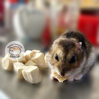 Thịt gà viên - ức gà viên sấy cho hamster, sóc, thỏ, bọ…