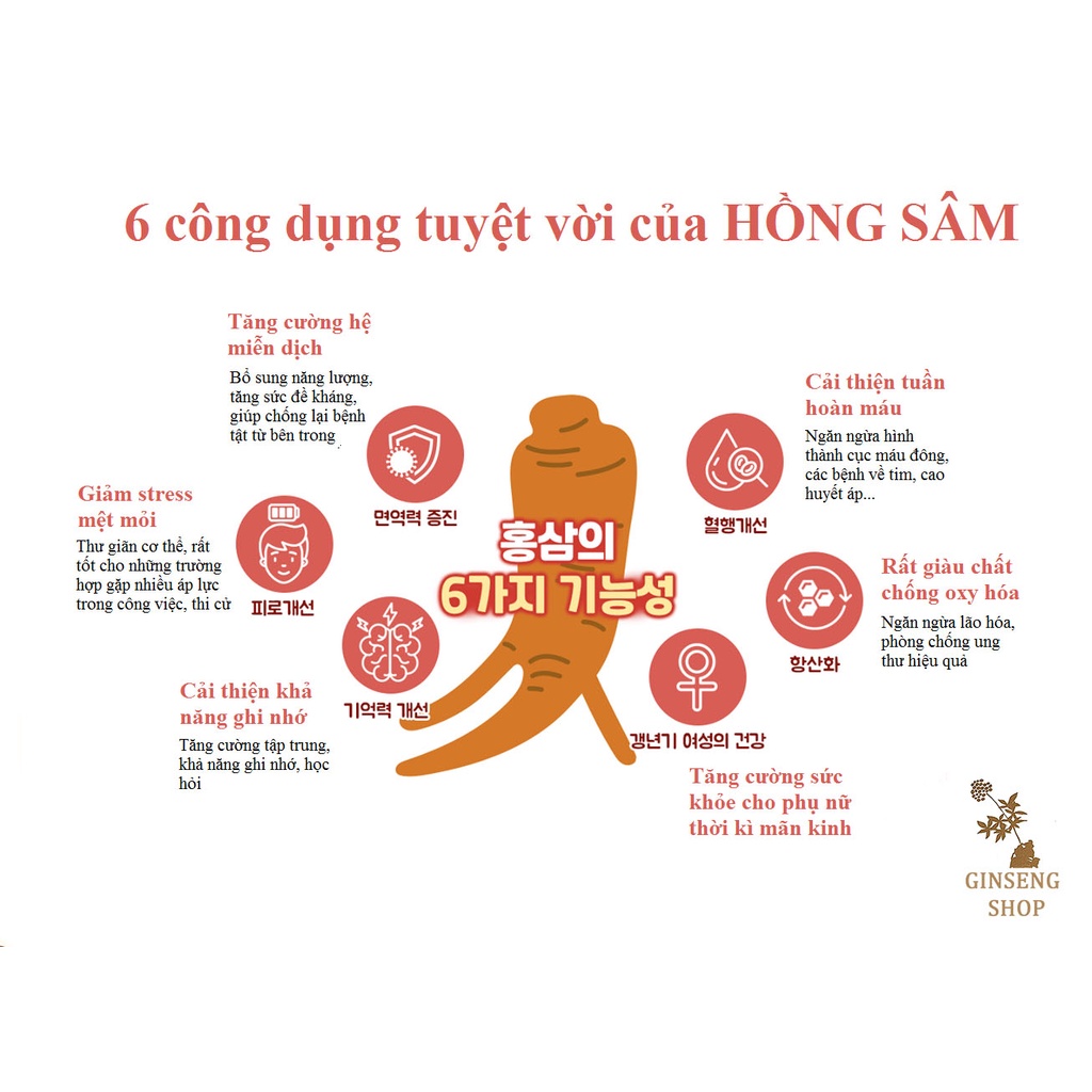 Cao Hồng Sâm Hàn Quốc Nolmae Red Ginseng Concentrate Gold 50g