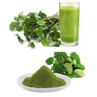 bột diếp cá hộp 500gr sấy lạnh nguyên chấtt