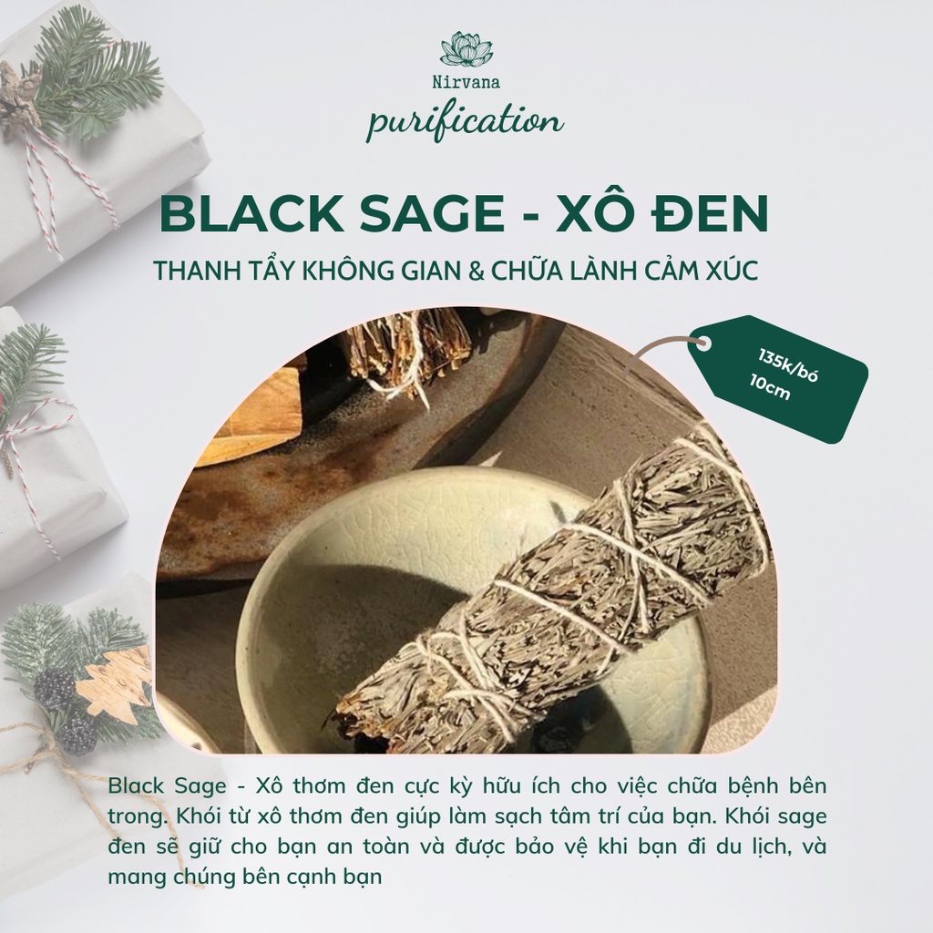 Xô đen - Black Sage - Thanh tẩy không gian