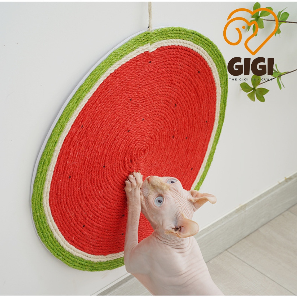 Bàn cào móng mèo hình tròn làm bằng chất liệu dây thừng phụ kiện cho thú cưng sạch móng giải trí - GiGi Pet Shop