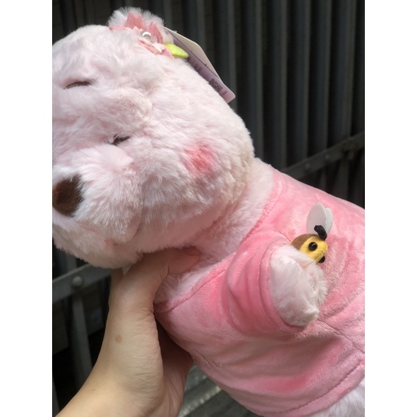 Gấu Pooh ngủ gật dễ thương cài hoa 🌸🐝