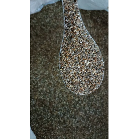 500g Hạt Chia Đen Organic Nam Mỹ