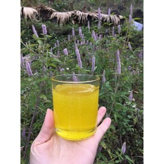 Mật ong Bạc Hà hàng chuẩn bao test