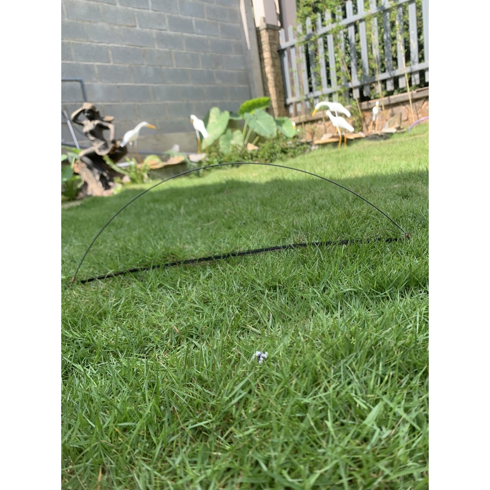 Cung bẫy chim cút