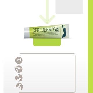 Cerederm gel  15g CERECARE SAS Pháp