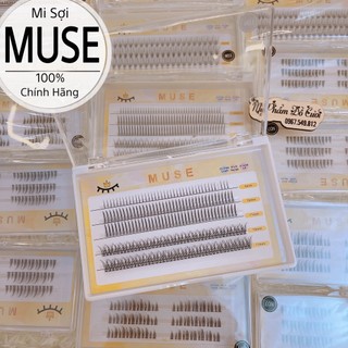 Mi giả tách sợi mi chùm muse đủ các mã n01 n07 n03