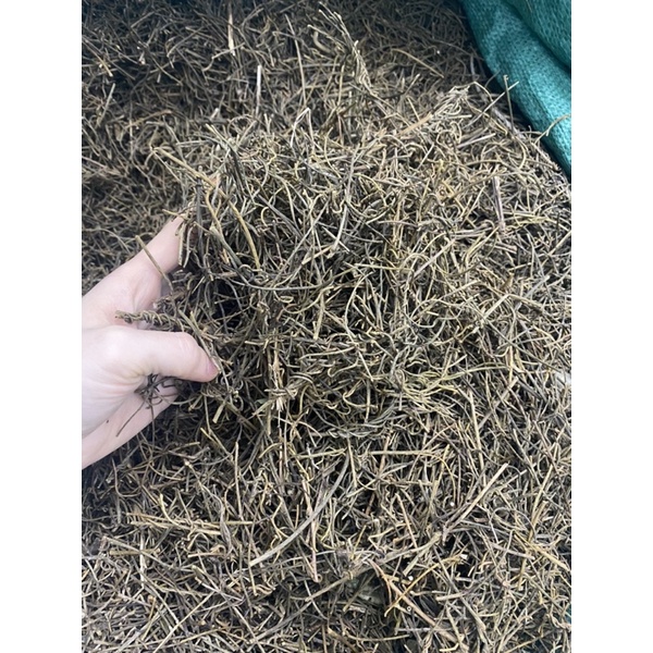 DÂY TƠ HỒNG XANH khô loại 1