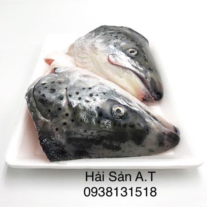 Đầu Cá Hồi Nauy Nhập khẩu " ship hoả tốc"