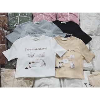 Áo croptop Cat gang (ảnh thật/ có sẵn)