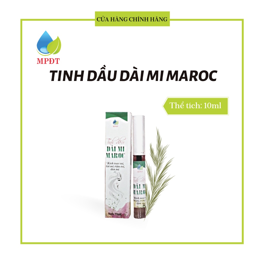 Tinh dầu dài mi Maroc dưỡng mi dài, dày đậm cho đôi mắt thêm long lanh, thu hút